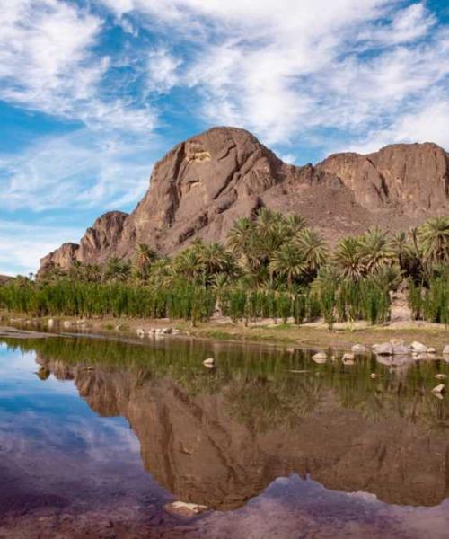 Les oasis de Ouarzazate : Beauté naturelle et défis de préservation