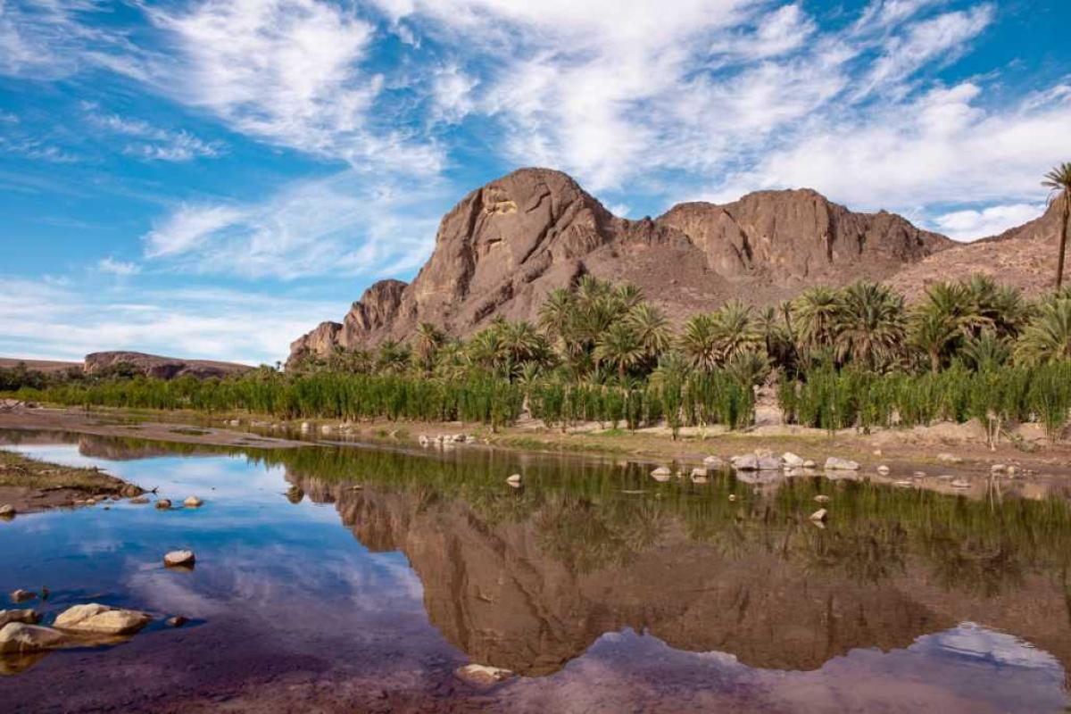 الواحات في ورزازات: جمال طبيعي وتحديات الحفاظ